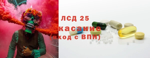 ГАЛЛЮЦИНОГЕННЫЕ ГРИБЫ Аркадак