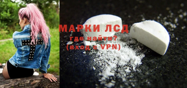 ГАЛЛЮЦИНОГЕННЫЕ ГРИБЫ Аркадак