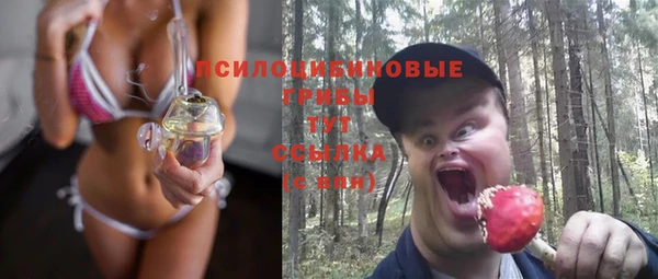 ПСИЛОЦИБИНОВЫЕ ГРИБЫ Армянск